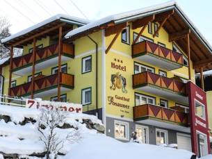 Hotel Gasthof Posauner