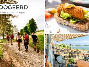 Wandel- of fietsarrangement incl. koffie/thee + gebak + 2-gangenlunch