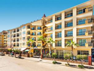 Kleopatra Royal Palm