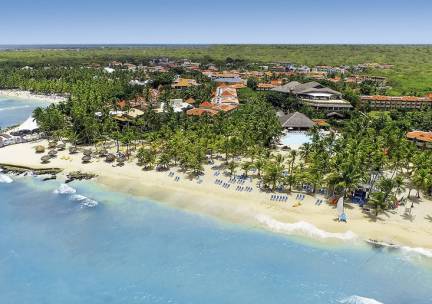 Coral Costa Caribe