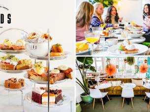High tea (1,5 uur), shared brunch of ontbijt bij Teds Rotterdam Op 't Dak