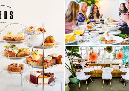 High tea (1,5 uur), shared brunch of ontbijt bij Teds Rotterdam Op 't Dak