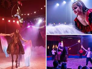 Entree Dancing with Horses