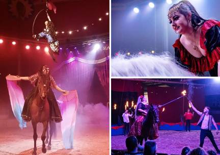 Entree Dancing with Horses