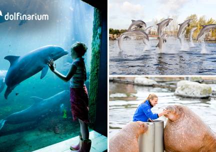 Entree voor het Dolfinarium