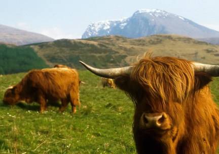 Roam Around Scotland