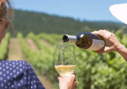 Priv&eacute; wandelreis Douro wijnregio