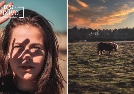 Fotoshoot op buitenlocatie voor 1 tot 6 personen (60 min) + digitale foto's
