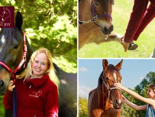 Massage met paarden op locatie (90 min)