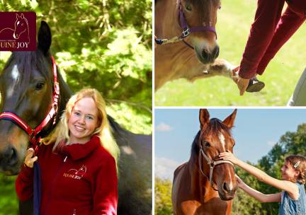 Massage met paarden op locatie (90 min)