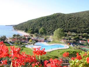 Oliva