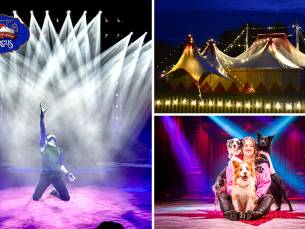 Entree voor The Magical World of Circus
