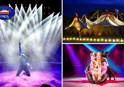 Entree voor The Magical World of Circus