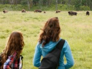 Familie fly drive Ontdek West-Canada
