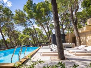 Basko Polje