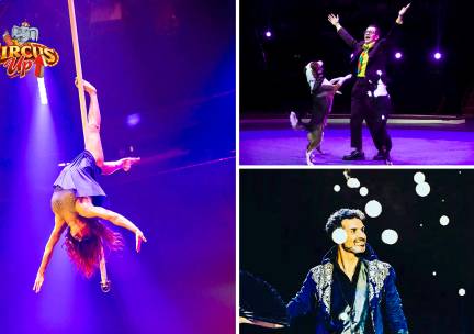 Entree Circus Up! + toegang kidszone