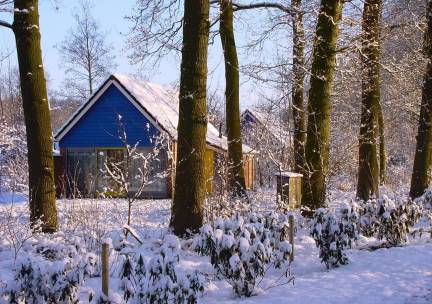 Bungalow IJssel | 4 personen