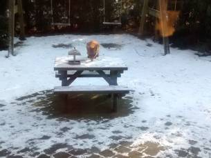 6 Persoons boshuisje in Emst op park de Vliegden