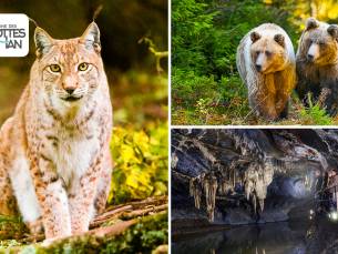 Entree tot het Wildpark + Grotten van Han