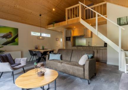 Vakantiewoning Boslodge Comfort - 4 persoons