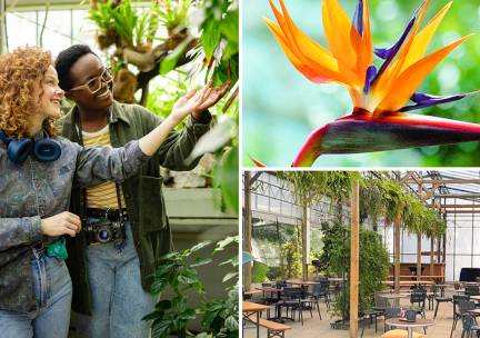 Entree Hortus Botanicus van de TU Delft
