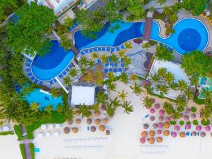 Grand Oasis Palm