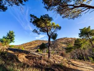 Fly-drive Ontdek het culinaire Andalusië