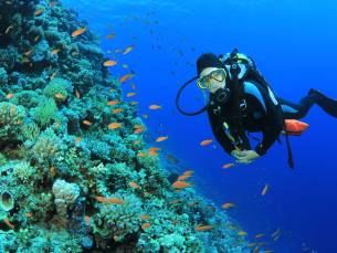 Duikcursus voor beginners of SSI Open Water Diver-duikopleiding