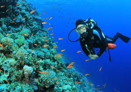 Duikcursus voor beginners of SSI Open Water Diver-duikopleiding