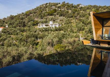 Five Olive Dream Trip