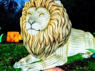 Pure ontspanning: jouw vakantie op de Lüneburger Heide