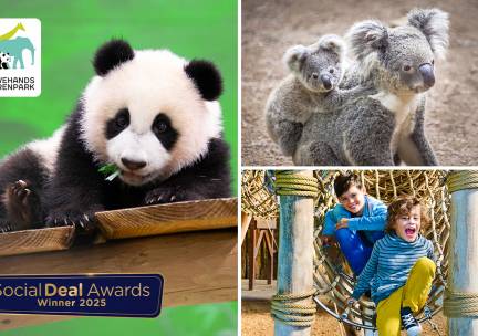 Entree voor Ouwehands Dierenpark Rhenen + koffie, thee, cappuccino of warme chocomel