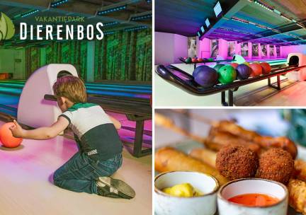 Bowlen (50 min) + snacks bij Vakantiepark Dierenbos