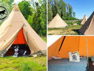 Overnachting voor 1 tot 4 pers. + husky-hike, high tea, ontbijt en meer