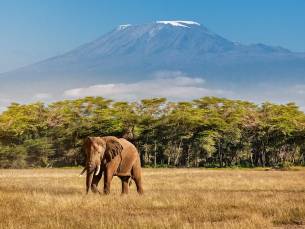 Ontdek Tanzania