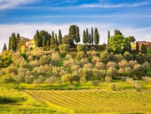 FLASHDEAL! ⚡ Rondreis door Itali&euml; van het Gardameer naar het authentieke Toscane! Incl. ontbijt, 3-gangendiner, wijn en olijfolie-proeverij + GRATIS parkeren!