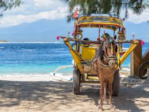 Bali, Gili en Lombok