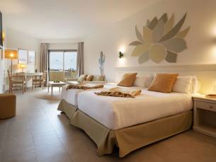 Iberostar Waves Gaviotas Park