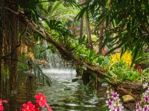 Pantropica: Beleef het ultieme vakantiegevoel!