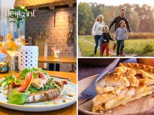 Wandelarrangement incl. koffie/thee met appelgebak + 2-gangenlunch