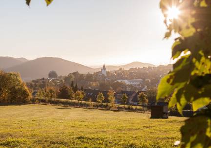 Am Südhang woning 28 | Gezellige vakantiewoning in Winterberg met panoramisch uitzicht