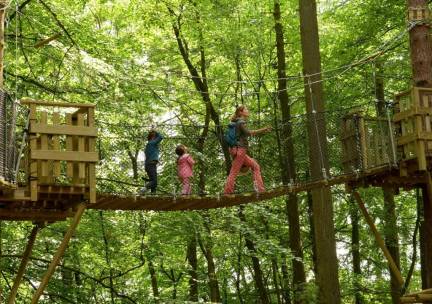 Geniet van een luxe 4*-hotel in de Ardennen incl. ontbijt en een onvergetelijk bezoek aan de Grotten van Han en het Wildpark!