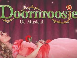 Entree Doornroosje de Musical
