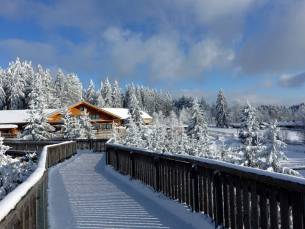 Geniet van een verblijf in de natuurrijke omgeving van Beieren o.b.v. halfpension en incl. wellness + aktivCARD Bayerischer Wald!
