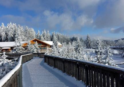 Geniet van een verblijf in de natuurrijke omgeving van Beieren o.b.v. halfpension en incl. wellness + aktivCARD Bayerischer Wald!