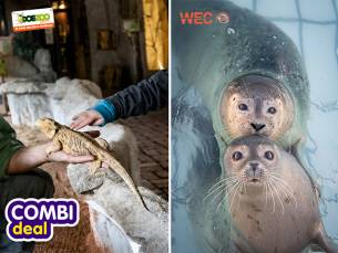 Combi DoeZooWEC Zeehondencentrum