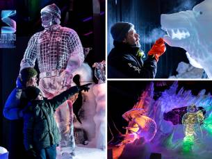 Entree voor het Nederlands IJsbeelden Festival