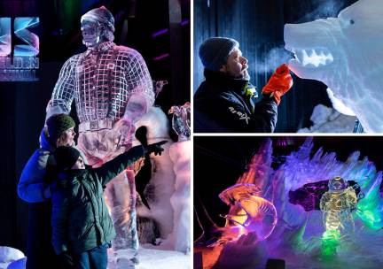 Entree voor het Nederlands IJsbeelden Festival