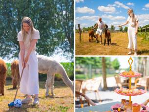Alpaca-golf (1,5 uur) bij Beleefboerderij Heierhof