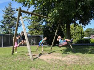 4-persoons Vrijstaand Chalet op park aan de Ijssel